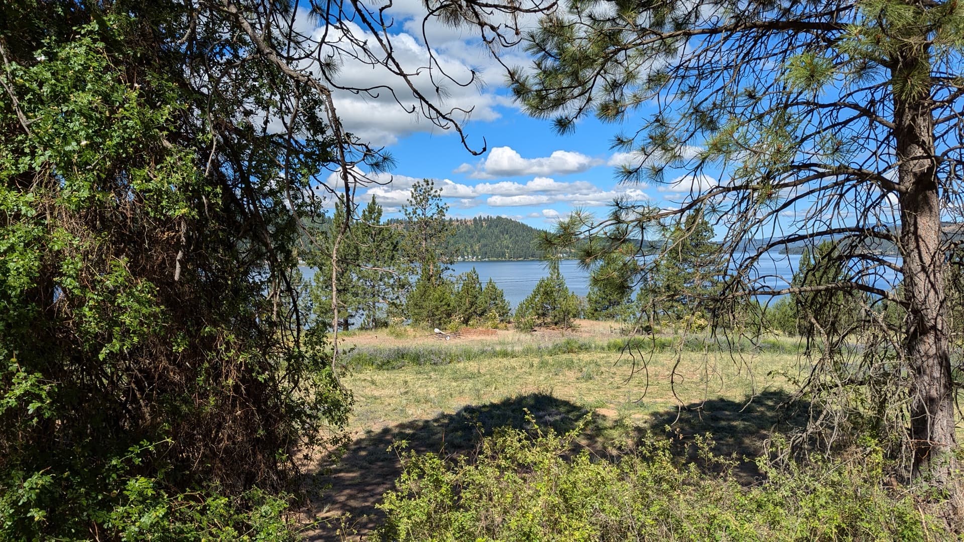 Lake view from the RV park grounds